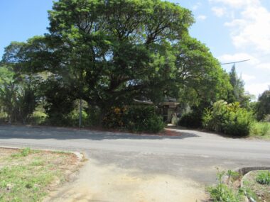 金武売地1,200万